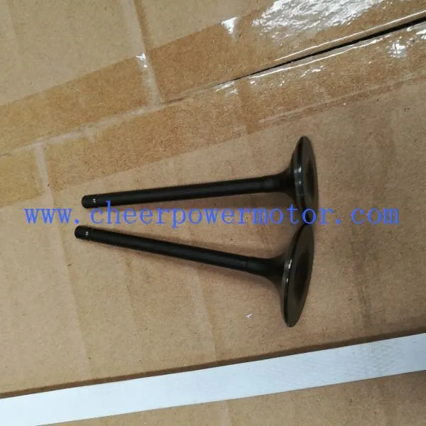 Cg250 Inlet Engine Valve For Motorbike