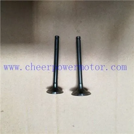 110cc впускной и выпускной клапан двигателя мотоцикла