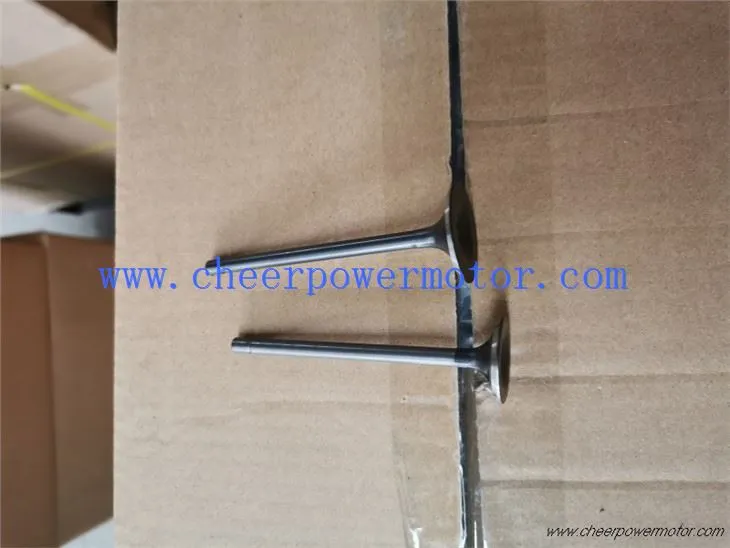 WIND 200 Inlet Engine Valve For Motorbike