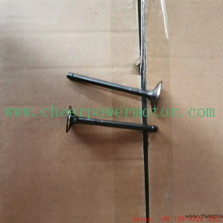 Впускной клапан двигателя трехколесного велосипеда BAJAJ RE205